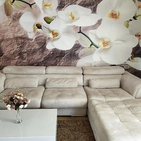 Sunkissed Centre Apartment Vlorë Екстериор снимка